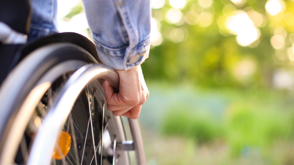Preventivo Trasporto Disabili Attività Ricreative Roma